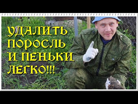 Видео: УДАЛИТЬ ПОРОСЛЬ И ПЕНЬКИ ЛЕГКО!