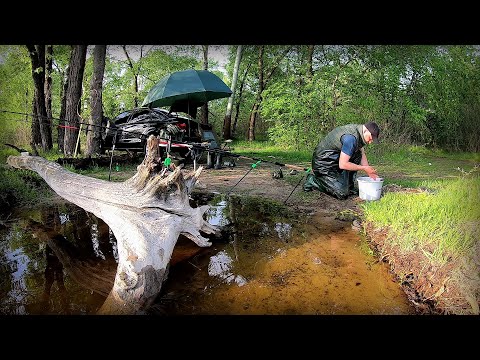 Видео: Рибалка на Фідер на Дніпрі. Пішло діло по крупняку!