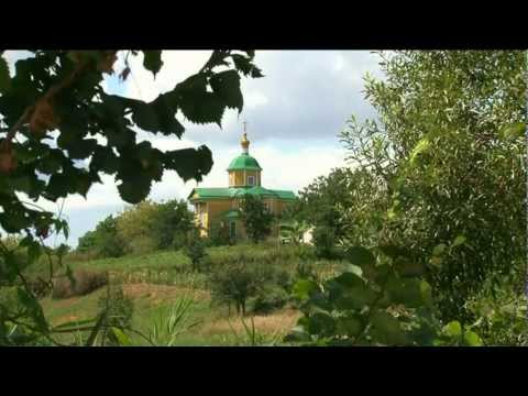 Видео: Шкарівка моє село-мій дивосвіт.