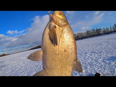 Видео: Ловля ЛЕЩА в марте! Оснастка мормышка с поводком! Рыбалка на ОКЕ на мормышку!