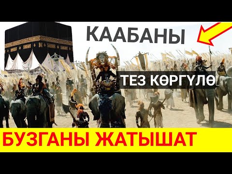 Видео: Каабаны жыгам деген Абраха падыша...