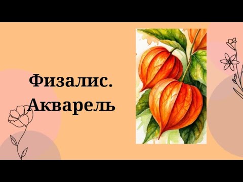 Видео: Физалис Акварель