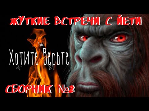Видео: Жуткие встречи с Йети:СБОРНИК№2;Рассказы очевидцев