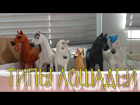 Видео: Типы лошадей schleich/Шляйх