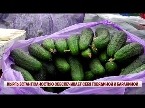 Видео: ВЕЧЕРНИЕ НОВОСТИ // 14 11 2025