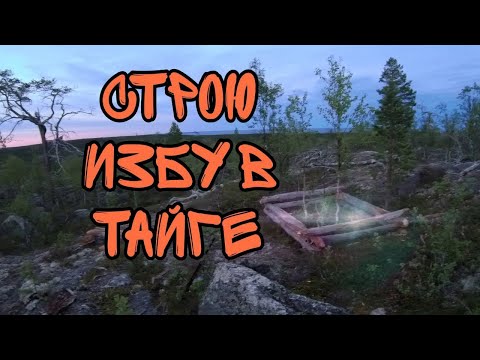 Видео: Строю убежище один в тайге. Тайное жилище. Строительство в лесу и Бушкрафт
