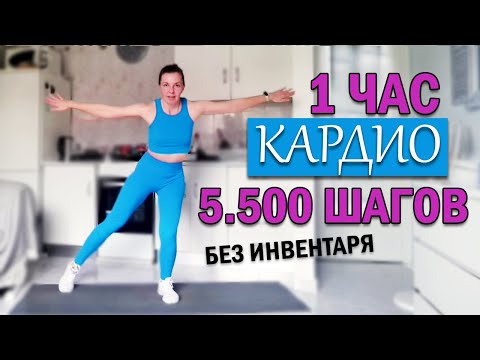 Видео: КАРДИО ТРЕНИРОВКА 1 ЧАС. БЕЗ инвентаря. БЕЗ прыжков | Физкультурница