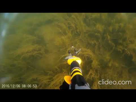 Видео: Подводная охота. Увильды