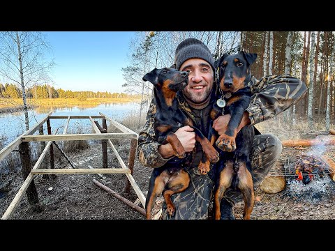Видео: Строю дом на дереве! У Тони появилась подруга Марта. Выставил балки на домик