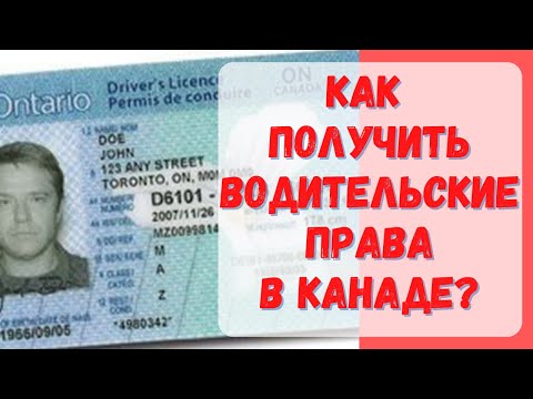 Видео: Как получить водительские права в Канаде? #Канада #визавканаду #жизньвканаде