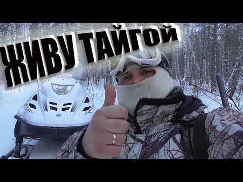 Видео: Охота на соболя Один день в лесу на снегоходе тайга варяг 550 Промысел