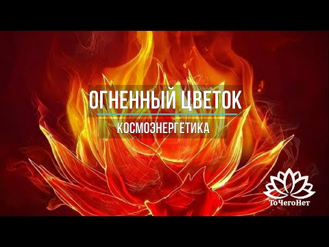 Видео: Огненный цветок. Космоэнергетика. Школа Космоэнергетики Алексея Станько "ТоЧегоНет"
