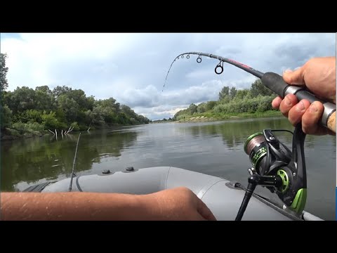 Видео: Клев пулеметный,  а садок пустой. Лодочный фидер в июле