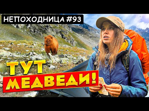 Видео: МЕДВЕДЬ В ПОХОДЕ! ГОТОВАЯ ЕДА ТУРИСТА. НЕПОХОДНИЦА
