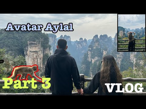 Видео: 【ZhangJiaJie】Avatar аялал part3 khortoi hool idsen ni  | azaatai Khuvchin | 2024 |