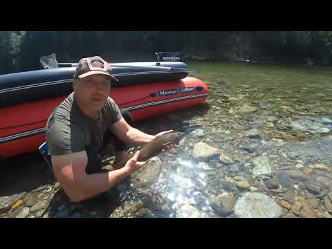 Видео: Дальневосточная рыбалка 2023  2