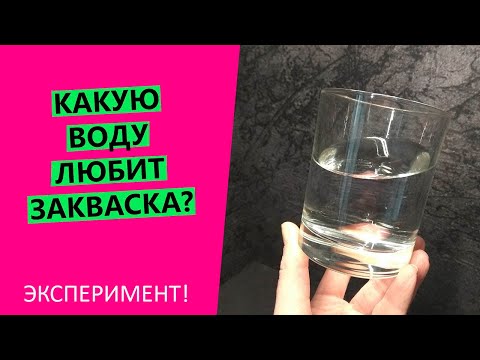 Видео: Какую воду 💧любит хлебная закваска😍? Какой водой кормить? На какой замешивать тесто? {ЭКСПЕРИМЕНТ}