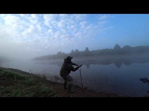 Видео: УШЁЛ В ТАЙГУ, ЗА ЕДОЙ ДЛЯ ВСЕЙ СЕМЬИ! ЗАКИНУЛ НА ДУРАКА И ЕСТЬ \ ГРИБЫ НА БЕРЕГУ РЕКИ, ОДИН НА РЕКЕ!