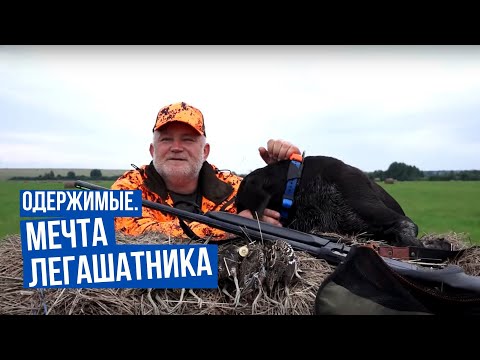 Видео: Мечта легашатника \ Одержимые