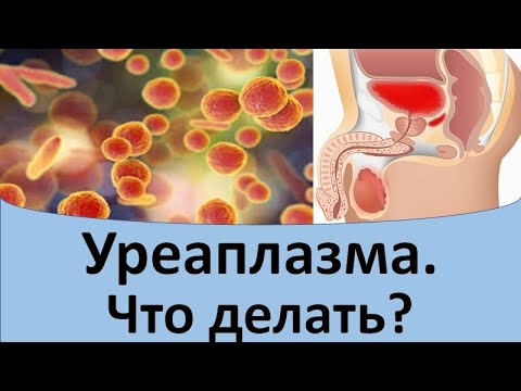 Видео: Уреаплазма.  Что делать?