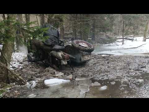 Видео: типичный день колясыча