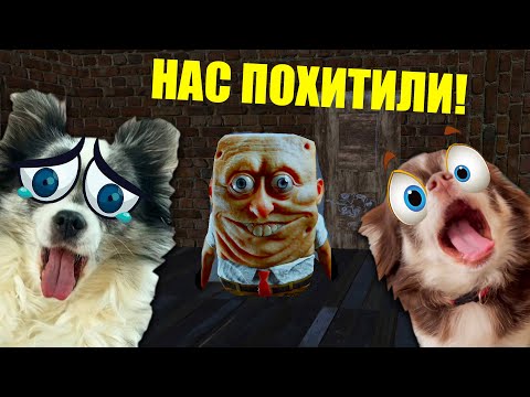 Видео: ВЫЖИВАЕМ В СТРАШНЫХ ИГРАХ! ПИТОМЦЫ ПРОТИВ БАНБАН, ГУБКА БОБ И РАДУЖНЫХ МОНСТРОВ