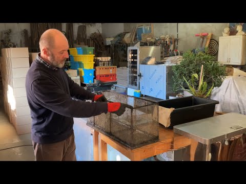 Видео: 2. Витопка воску з щільникових вирізок. Beekeeping (29.11.2024 р.)