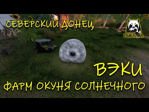 Видео: Русская рыбалка 4 (рр4). Северский донец. Вэки. Фармим окуня солнечного.