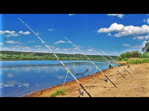 Видео: Рыбалка С Ночевкой На Сома в Диких Местах. Ловля на донки и квок.
