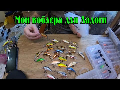 Видео: Воблера которыми я ловля окуня и щуку на Ладоге.