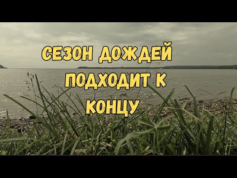 Видео: Новый Гоанский мини-влог!