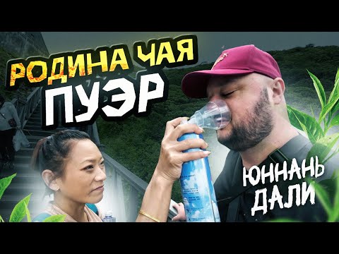 Видео: Родина чая ПУЭР! Юннань. ДаЛи!