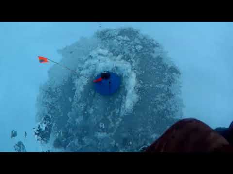 Видео: Первый лед 2023. Жерлицы, балансиры.