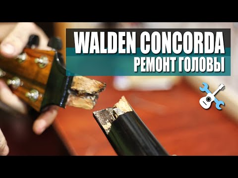 Видео: Walden Concorda ремонт головы + песенка