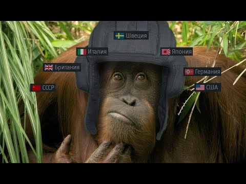 Видео: Вечерний Warthunder СТРИМ. Чем заняться?💀