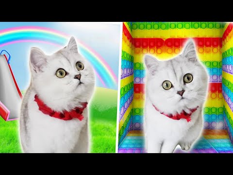 Видео: У нас случилась БЕДА:  КОШЕЧКА ВАСИЛИСА ПОГИБЛА.