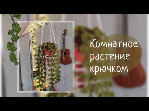 Видео: Комнатное растение🪴 / Вяжем крючком✨