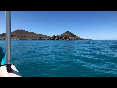 Видео: Остров на Алаколе