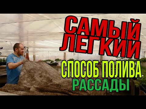 Видео: Самый лёгкий способ полива! Капиллярные маты для полива.