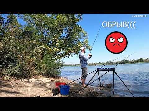 Видео: Ловля сазана на реке. Обрывы, срезы и сходы😡