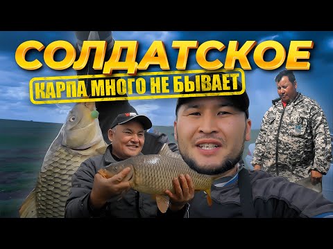 Видео: Озеро Солдатское/ Жарлыколь/ РАЗДАЧА КАРПА