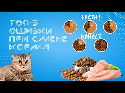 Видео: Какие ошибки при смене корма вы могли допустить?