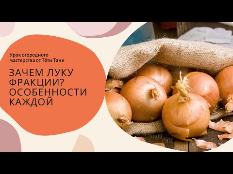 Видео: 752. Зачем луку фракции? Особенности каждой.