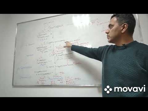 Видео: триптофан, серотонин, мелатонин