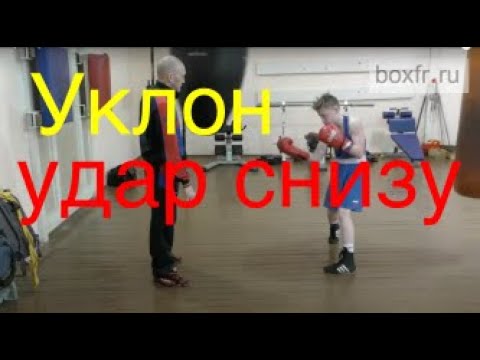 Видео: Бокс: уклон-удар снизу