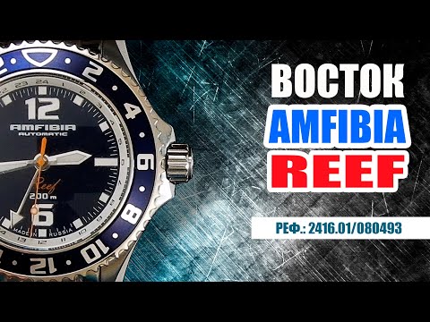 Видео: Обзор часов Vostok Amfibia Reef 2426.01/080 493