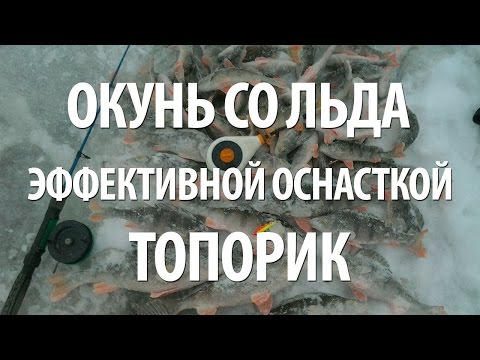 Видео: УСПЕШНАЯ ЗИМНЯЯ РЫБАЛКА на ОКУНЯ ОСНАСТКОЙ ТОПОРИК