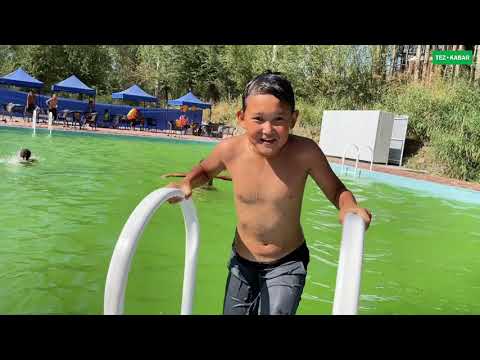 Видео: БАЛЫК БОРБОР катуу иштеп жатат  |  СЕЛДИН залакасы тийген жок  |  КЕЛЕ БЕРИҢИЗДЕР