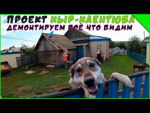 Видео: Вернулись к старым заказчикам. Демонтажные работы.  Проект - "Диля апа".  (1 серия )