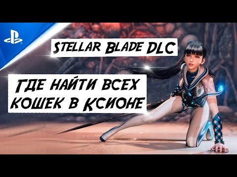 Видео: Stellar Blade DLC | Где найти всех кошек в Ксионе